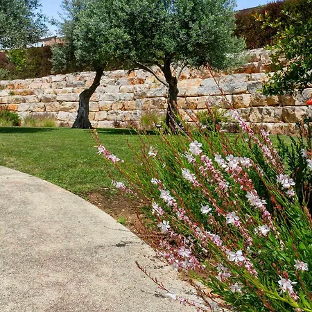 Vale De Milho Village Курортный комплекс 5*